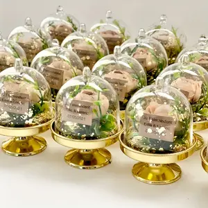 24/48 mini plastic candy boxes with lids for party candy decoration storage, table decoration items, suitable for birthday, wedding, carnival festival, single party, Christmas, and Halloween gift candy boxes Transparent Lid Container