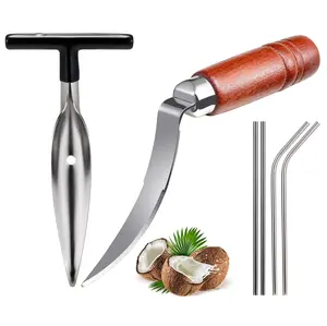 Coconut Opener Tools, Set of Stainless Steel Coconut Puncher with Straws, Brush, Coconut Meat Remover with Wood Handle, For Green & Young Coconut