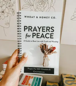 Prayer For Peace - A Guide For 100+ Emotions & Circumstances - Bible Study