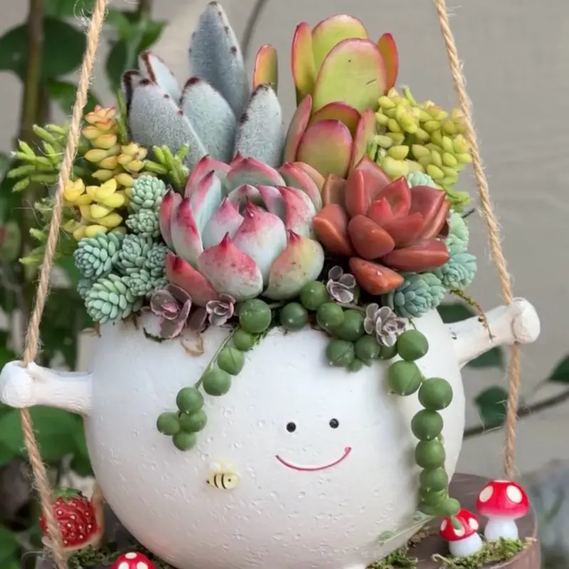 Swinging Succulent Design Swinging Succulent Design