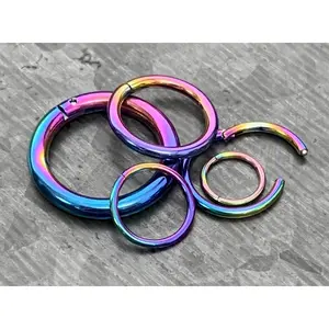 1 Piece of Unique Rainbow Hinged Segment Septum Ring/Hoop - Gauges