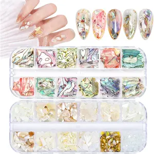 24 Grids Seashell Nail Art Slices Nail Flakes, 3D Irregular Abalone Shell Slices Nail Art Slices Sequins Design Colorful Manicure Seashell Slices UV Gel Flake Shell Nail Decorations