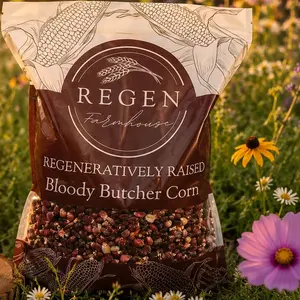 Bloody Butcher Corn, biodegradeabable bags, 5 lbs Regenerative, best cornbread,Bloody Butcher is a historic heirloom corn variety known for its deep red kernels that give it a rustic, yet striking appearance. Cormbread,hominy,tortillas & baked goods.