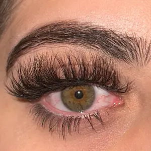 Money Maker - Eyelash Strips