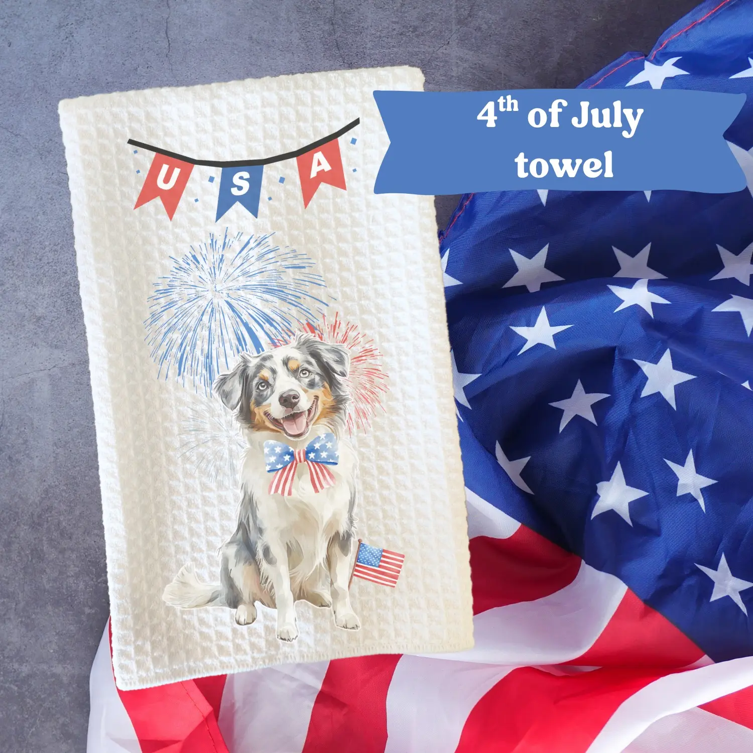 Australian Shepherd #3