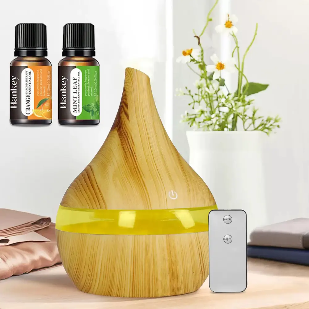 Hankey 300ml Quiet USB Powered Humidifier - Compact Essential Oil Diffuser with Night Light, Remote Control for Desk Users, Nursery, Car
