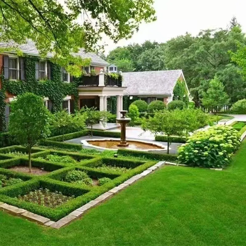 Lawn Seed - 400000 Premium Fast-Growing Seeds, All-Season Durability, Ideal for Lush Carpet Lawns & Golf Courses