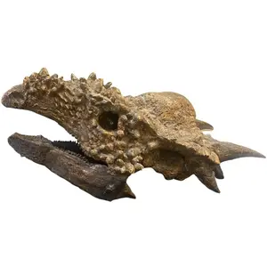 Stygimoloch Skull