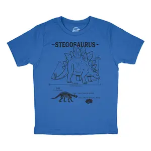 Youth Funny T Shirts Stegosaurus Infographic Awesome Dino Tee For Kids Funny T Shirts Science Tops for Kid Funny Dinosaur Short Sleeve Novelty Tees for Kids Royal -