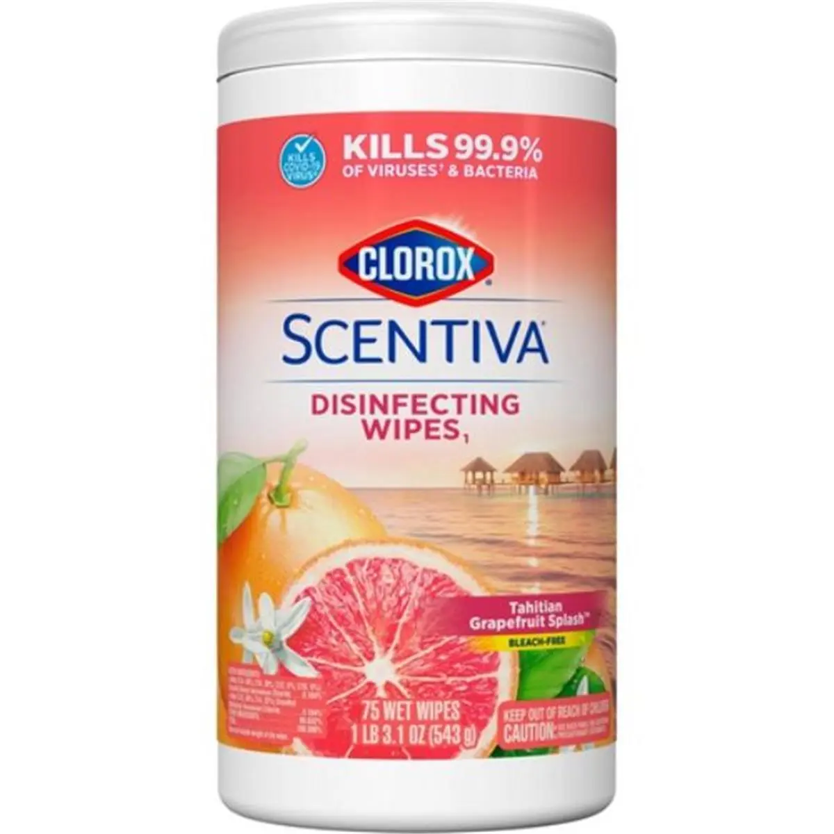 212 MAIN Clorox CLO60036 Scentiva Grapefruit Scented Bleach-Free Antiseptic Disinfectant Wipes - White, 75 Count, Cleaning Wipes for Household, School, Restaurant, Business Use
