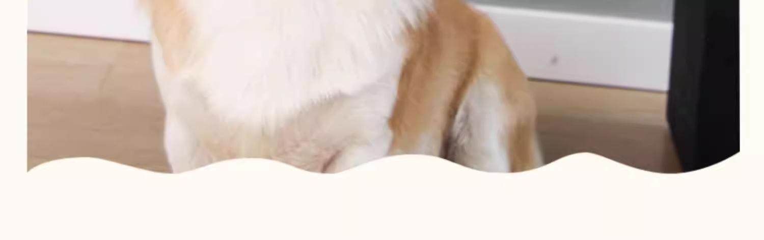 Dog Chew Toy Squeaky Rubber Beer Bottle, Interactive Puzzle Toy for Boredom Relief, Durable Teething Toy for Small & Large Dogs, Physical Energy Release