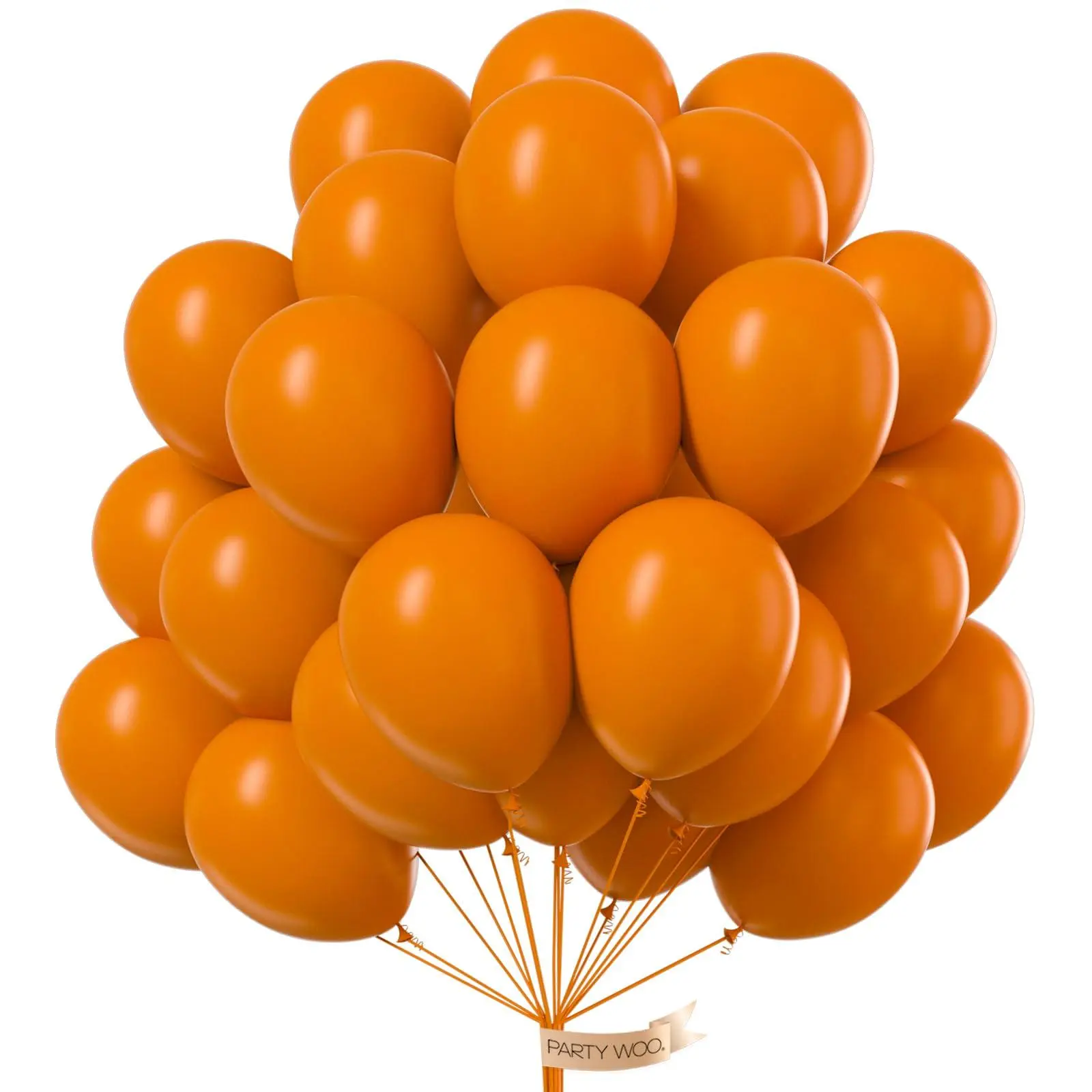 PartyWoo 100pcs 10-Inch Thick Floatable Burnt Orange Terracotta Rust Balloon Arch Kit with Clusters, Birthday Theme Decor for Boho Wedding, Fall Events, Balloon Clusters Balloons, Birthday Theme Balloons