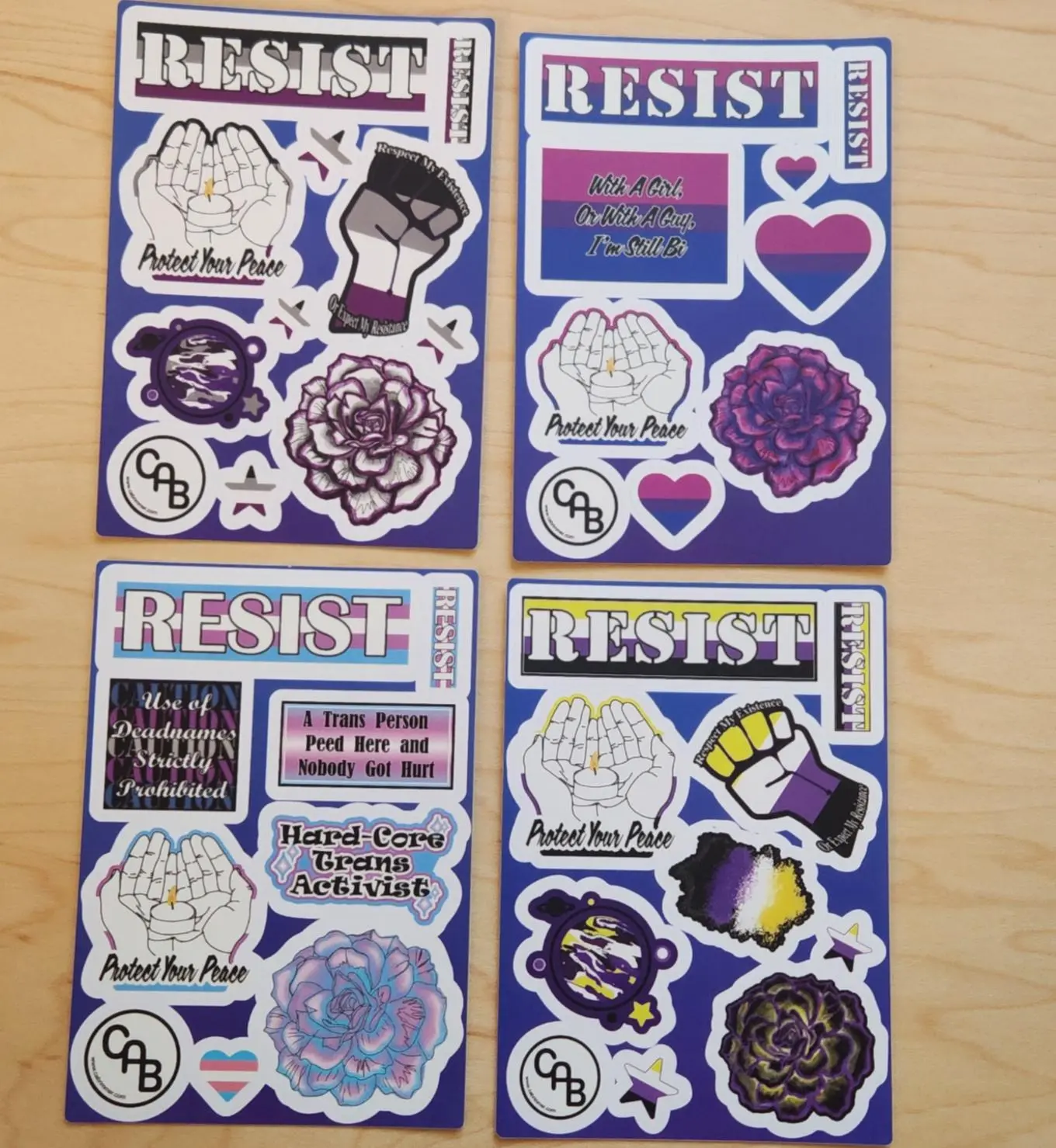 Unisex LGBTQ+ Pride Sticker Sheets - 4-Sheet Collectible Cultural Art Stickers with Trans, Bisexual, Nonbinary, Asexual (Ace) Pride Flags Designs for Planners, Journals, Craft & Indoor Use