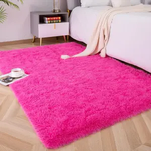 Soft Fluffy Area Rugs for Bedroom Kids Room Plush Shaggy Nursery Rug Furry Throw Carpets for Boys Girls, College Dorm Fuzzy Rugs Living Room Home Decorate Rug, 2ft x 3ft, Hot Pink