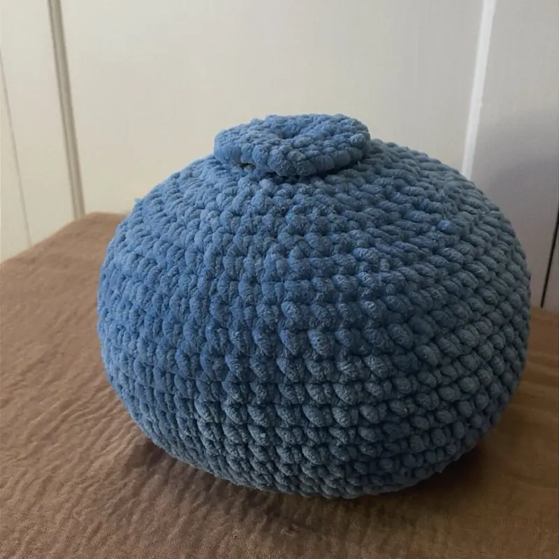 Blueberry pillow Blueberry pillow