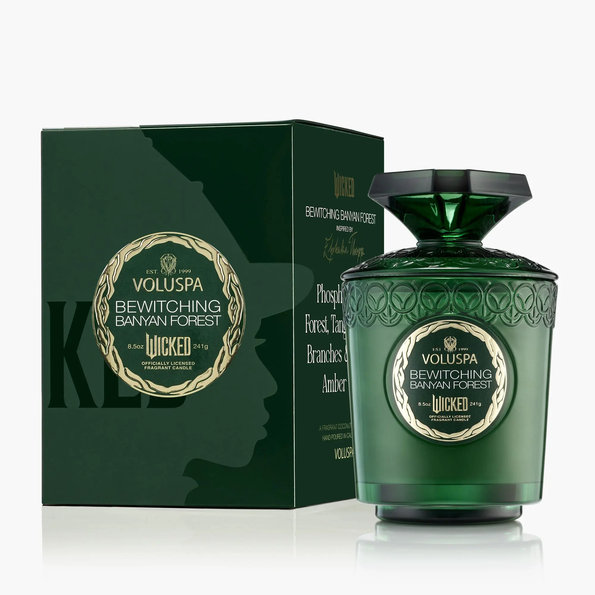 Bewitching Banyan Forest - Boxed Candle