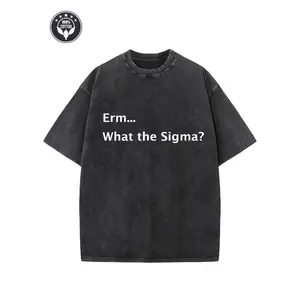 "Erm...What The Sigma?" Creative Pattern Printing Heavy 230g Pure Cotton Oversized Drop Shoulder Washed T-shirt
