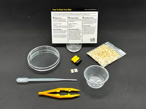 Explorer Blob Kit - Slime - Physarum polycephalum