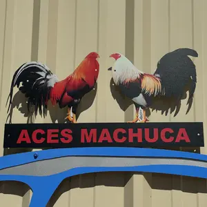 1. Rooster wall decoration 21.5X11.25 ALUMINUM 14 GA 1. Rooster wall decoration 21.5X11.25 ALUMINUM 14 GA