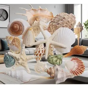Natural Beach Seashells Assortment - 20 Varieties Mixed Sizes 1.5"-5.5" - Ocean Shells & Starfish Decor for Fish Tank - Coastal Theme Party Supplies - Home Wedding Decoration