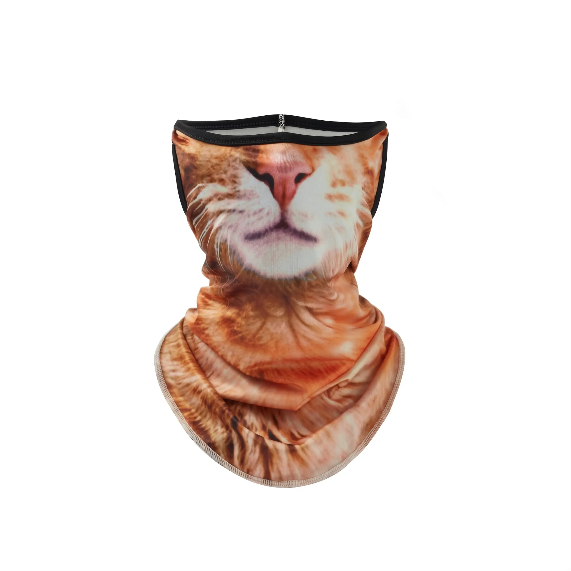 Orange Cat