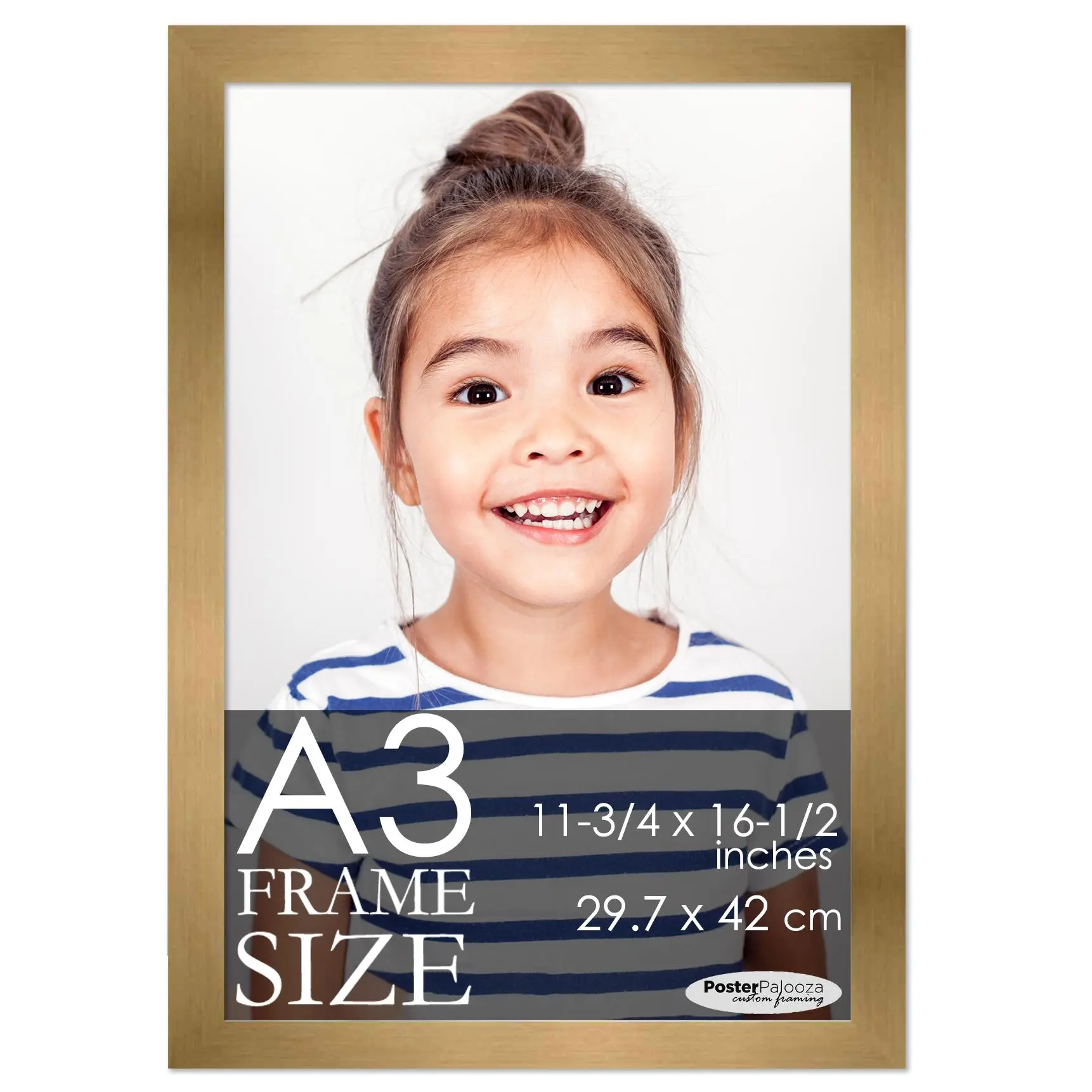 A3 Frame Gold Bronze Modern Minimalist 11.75x16.5 Frame - Wood A3 Picture Frame, UV Acrylic