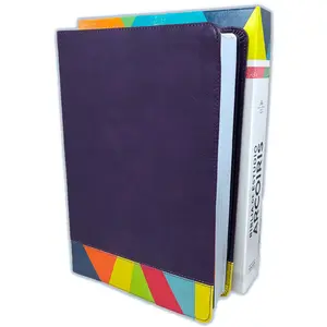 Biblia de Estudio Arcoiris REINA VALERA 1960, Simil Piel Morado/multicolor