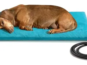 Pet Heating Pad, Outdoor Indoor Electric Heated Pad for Dog & Cat, Warm Heated Mat Waterproof Heated Dog Cat Bed with Chew Resistant Cord, Comfortable Heater Blanket for Puppy and Kitten (16" x 28")