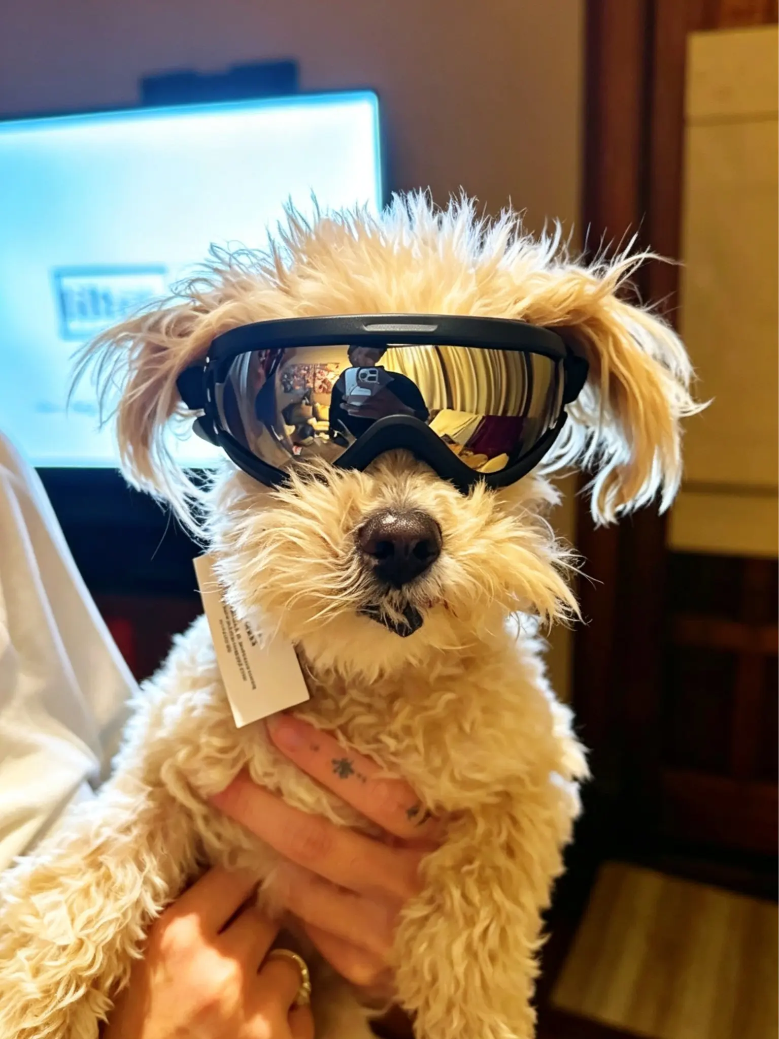 Dog UV Blocking Goggles - Outdoor Anti-Fog Pet Eyewear with Silicone Edge, Adjustable Strap, Windproof, Dustproof for Tiny Breeds, Puppies (Driving, Riding)