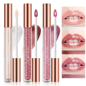 Hyaluronic Acid Lip Gloss Set(3Pcs),Shimmer & Long Lasting Smooth Texture Gloss For Lips Plumping,Moisturizing And Brightening. 0.1oz/pc (#1+#2+#3)