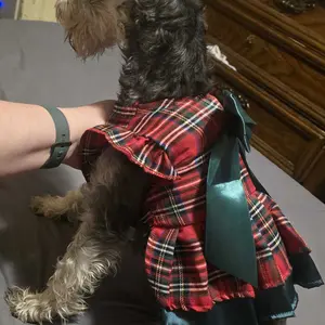 2026 New Pet Valentine's Day Dress, Spring and Autumn Dog Clothes, Cat Dresses Puppy Costume