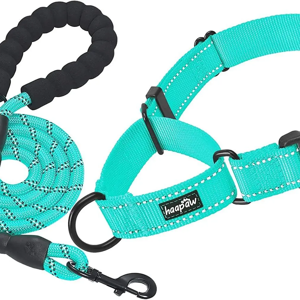 Martingale Dog Training Collar & Leash Set  2-Pack with Quick-Release Buckle for Small Medium & Large Dogs  Turquoise