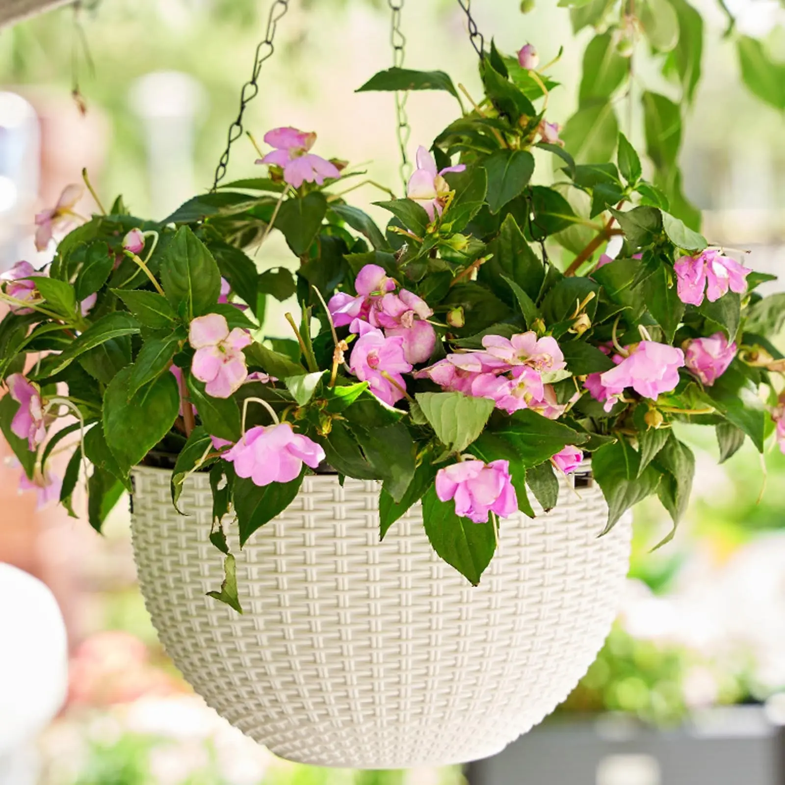 Hanging Plastic Vine Woven Basket, Absorbent Wall Hanging Planter for Pothos & Ivy, Thickened Design for Lazy Gardeners