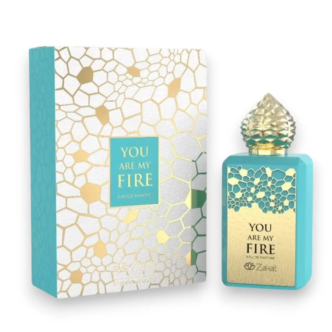 Zakat Perfumes You Are My Fire Alcohol-Base Unisex Eau De Parfum, 100 ML Fruity Sweet Fruits Fragrance with Mango & Ginger Notes, Unisex Wear