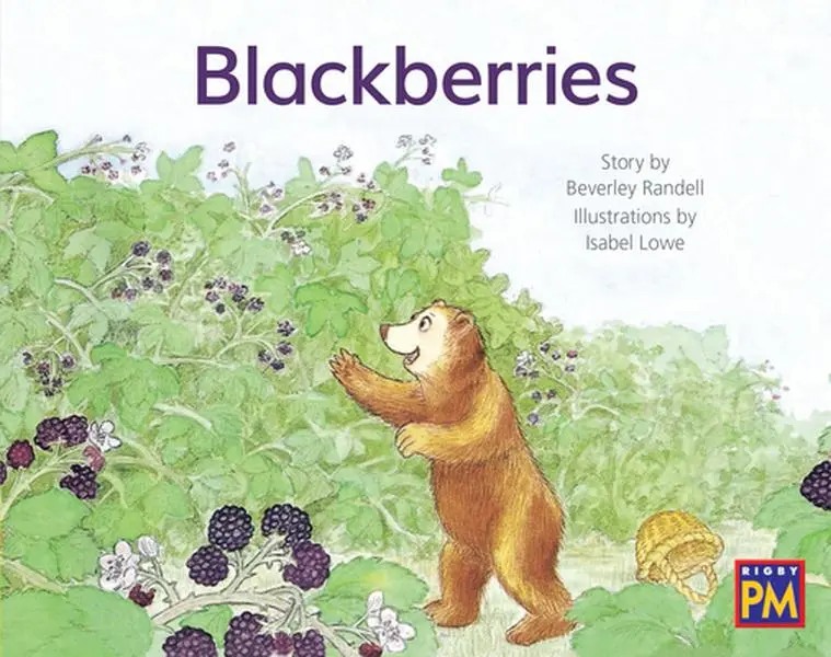 USED-Blackberries: Leveled Reader Yellow Fiction Level 6 Grade 1 by Houghton Mifflin Harcourt (Paperback)