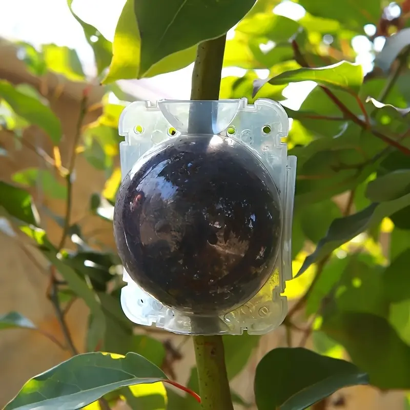 5 Transparent Root Growth Boxes, Root Ball Grafting Tool, High Pressure Plant Propagation, Air Layering Pod, Garden Tree Rooting and Propagation Balls, Planter Box, Garden Plant Supplies