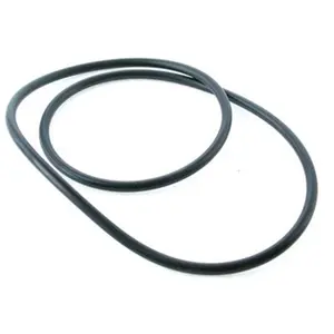 Waterco  Supatuf Body O-Ring