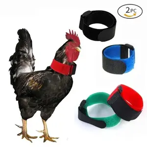 New Pet Chicken Collars Preventing Rooster Crowing No Hook Neck Tie Christmas Collar Supplies Poultry, pet chicken, duck, goose marking collar