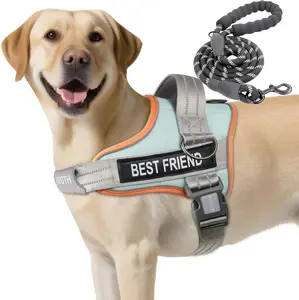 AUROTH No Pull Dog Harness and Leash Combo, Reflective Adjustable Safety Harness – Soft Padded, Easy On & Off – Dog Walking & Training, Small Medium Large Dogs