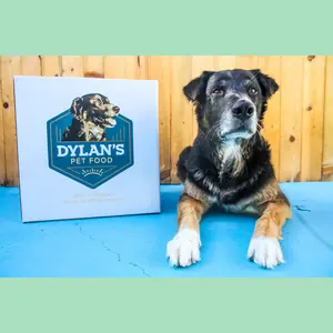 Dylan’s Pet Food Premium Allergy-Friendly Dog Food Sample Pack (3) 24oz Packages