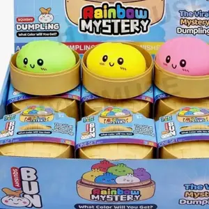 MYSTERY DUMPLING Squishy
