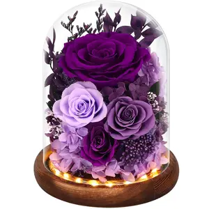 SHareconn Forever Preserved Real Flowers for Delivery - Eternal Fresh Roses in Glass Dome with LED Lights, Mothers Day Gift