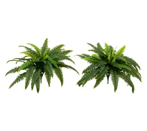 Nearly Natural Set of (2() 40" UV Resistant Boston Fern