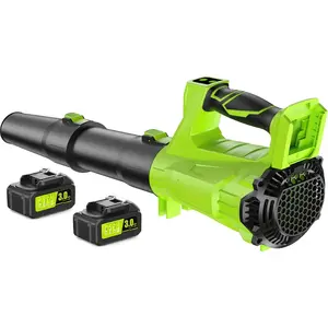 Leaf Blower Cordless with 2 x 3.0Ah  and Charger, 680CFM 260MPH Electric Blower with 2 Speeds, 20V Handheld Leaf Cleaner for Lawn Care, Blowing Leaves, Dust, Snow, Gravel for Patio, Yard, Green