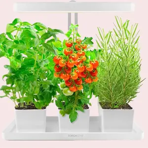 Indoor Plant LED Grow Light with Timer, Full Spectrum, Adjustable Height, Beginner Friendly