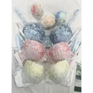 3-Pack Elegant Lace Bra Set - 3D Embroidered Push Up Bras with Underwire, High Support Nylon Lingerie for Women