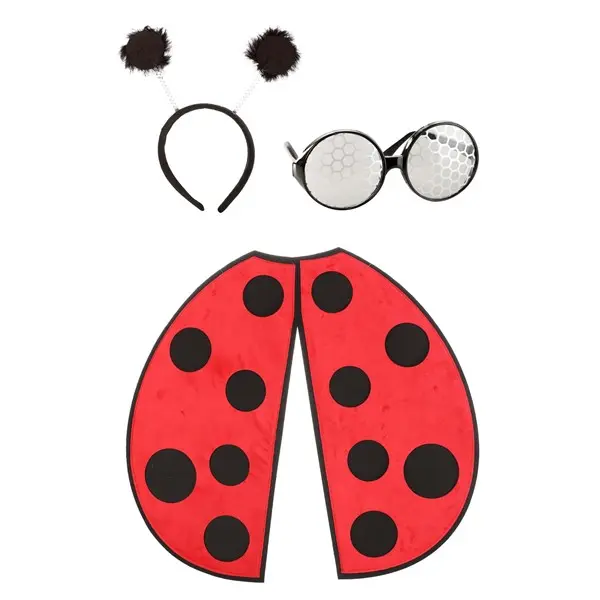 Ladybug Costume Kit