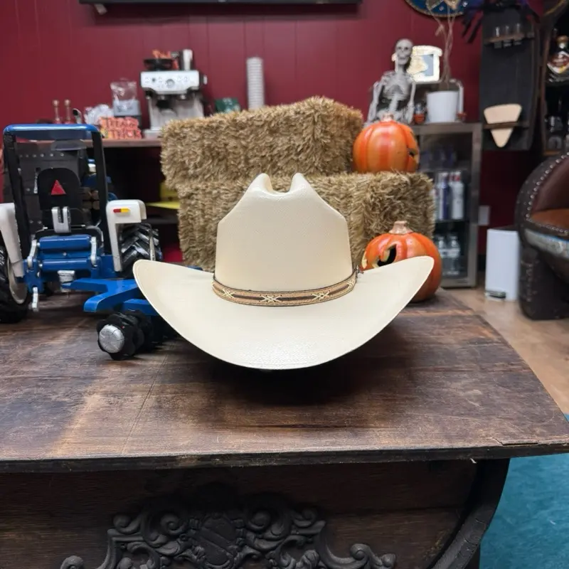 Tombstone 15X chaparral “R” straw cowboy hat