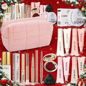 New Year Makeup Kit Set 12 PCS, Face Makeup Set, Pink Cosmetic Bag with Color Shift Foundation, Blush, Translucent Powder, Lash Primer, Lip Gloss, Aegyo Sal Pen, Gift for Christmas  New Year Valentine‘s Day