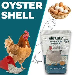 Crushed Oyster Shell for Laying Hens 5 Pound Bag - Free Choice Natural Calcium Source for Backyard Chickens